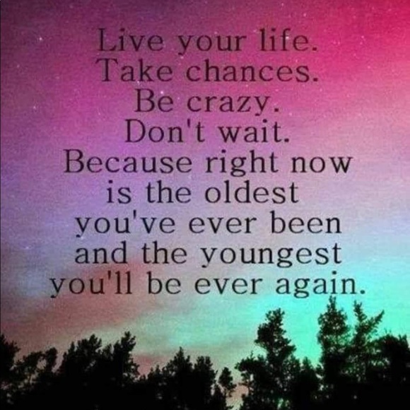 Squeeze The Day 🍋 - Picture 5 of 14